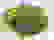 item-59116962=4