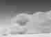 item-59117338=2