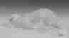 item-59117338=4