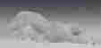 item-59117338=8