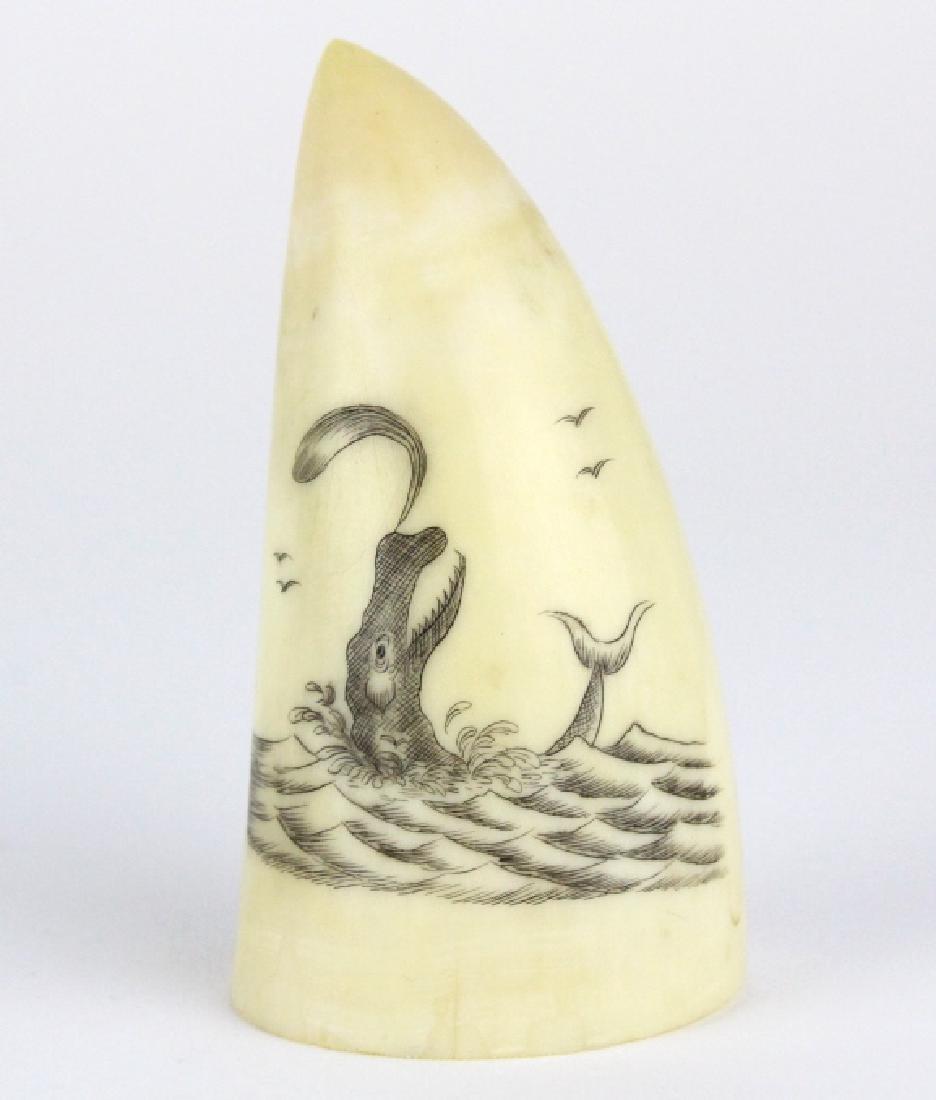 Scrimshaw Decorated Whales Tooth w Sperm Whale: Features a hand carved and inked scrimshaw portrait of a sperm whale. Measures 2 3/4" x 1 1/2" Good condition with mild wear. In house USA continental shipping $25 plus insurance