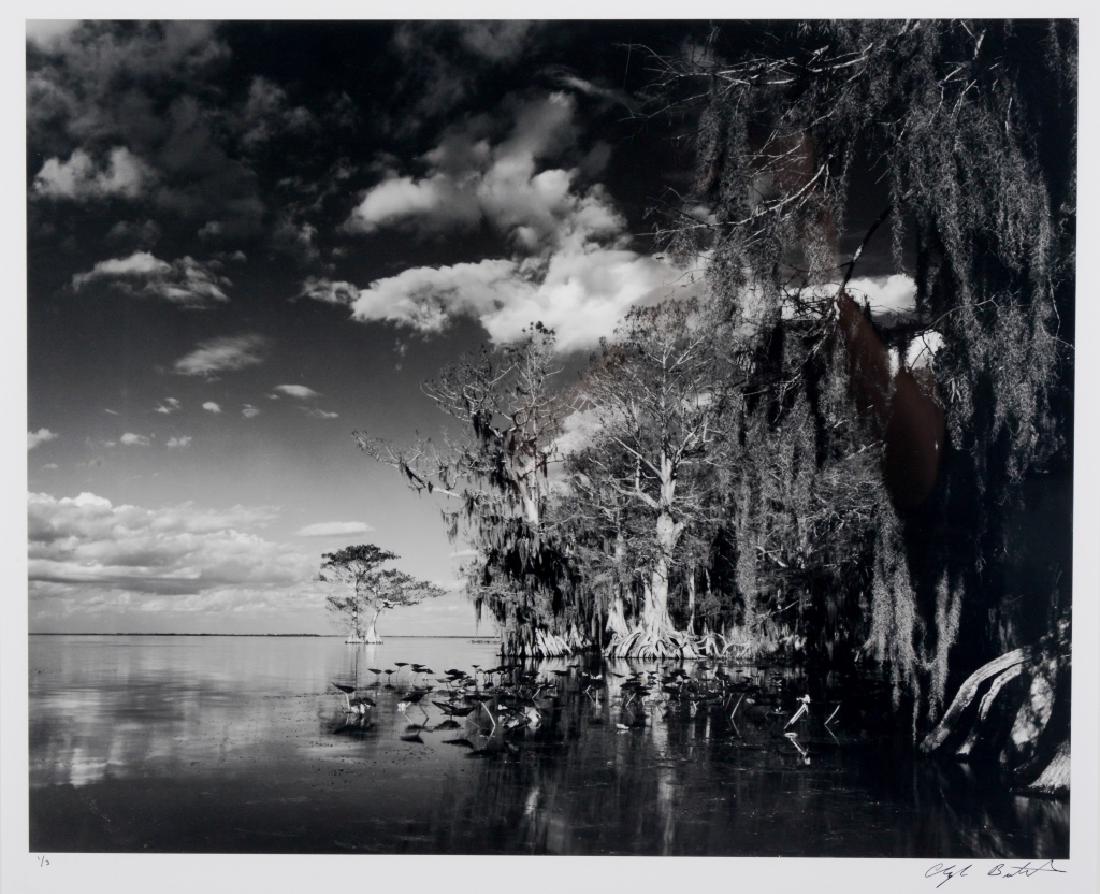 Clyde Butcher Florida Lake Istokpoga Photograph Mar 28, 2018 Hill