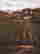 item-64568006=2