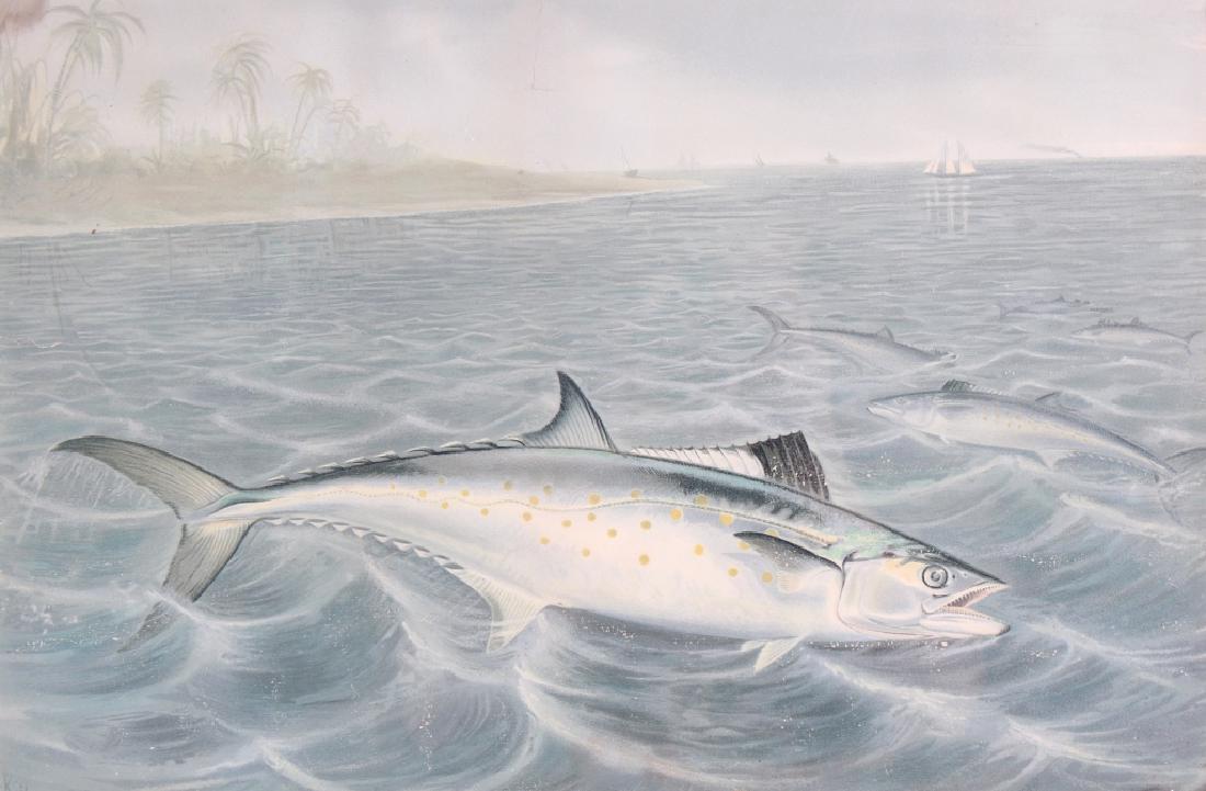 Samuel Kilbourne 1836-1881 American Fish Painting (1 of 6)