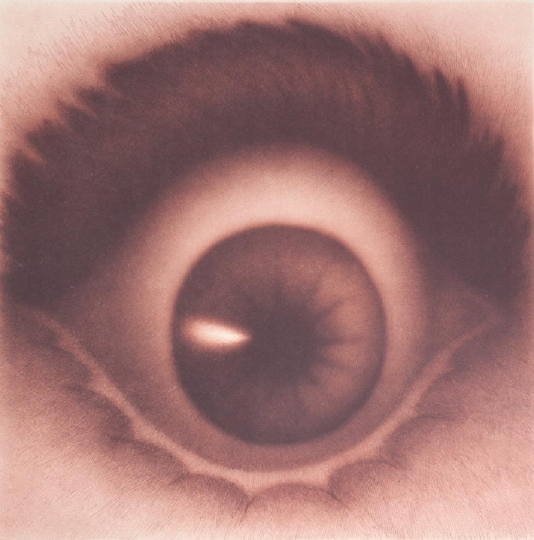 Rodolfo Abularach VOLCANO L/E Lithograph SIGNED (1 of 6)