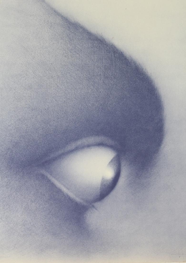 Rodolfo Abularach ORION L/E Lithograph SIGNED (1 of 6)