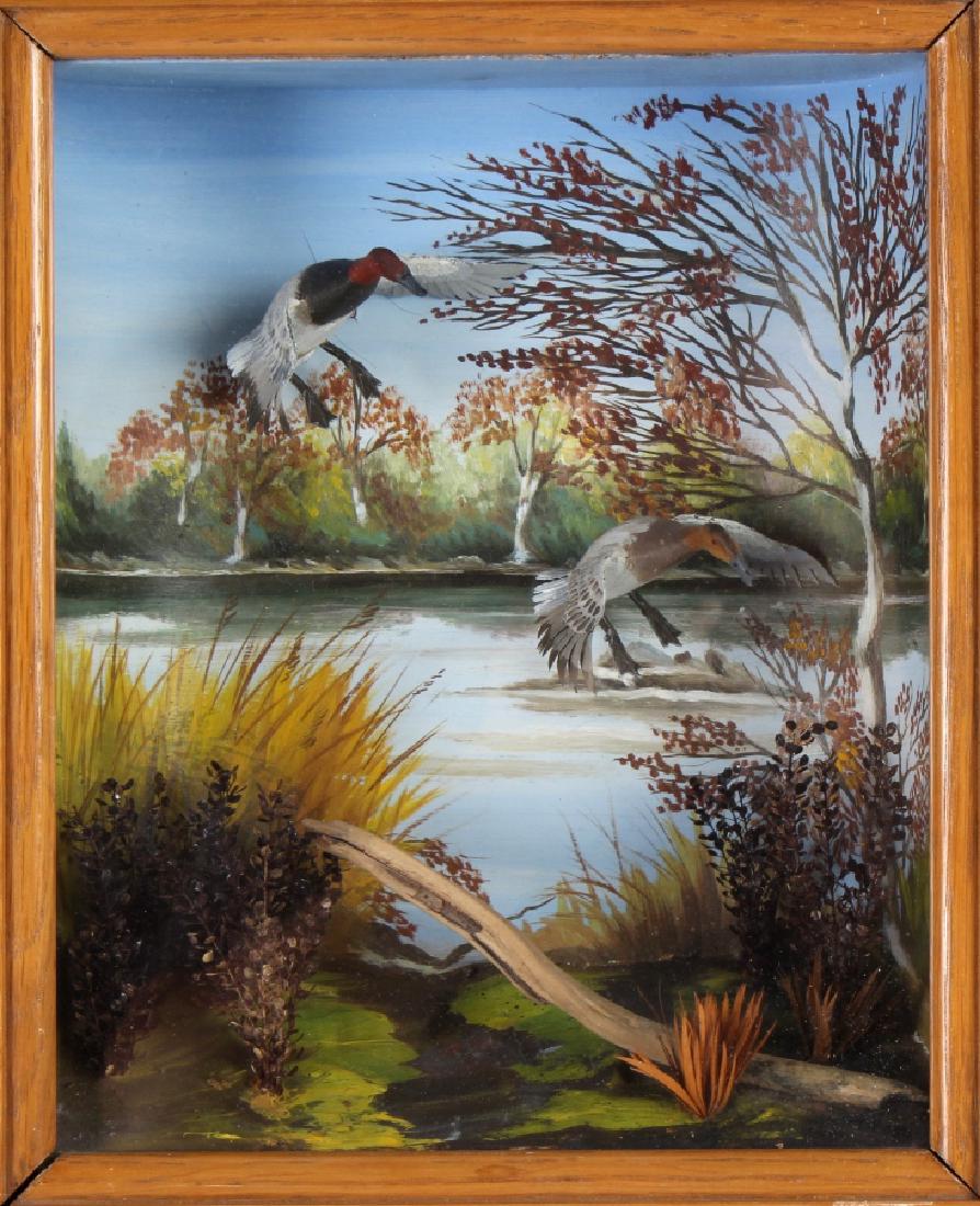 Runar Rodell Hand Carved Canvas Back Duck Diorama (1 of 6)