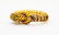 DESIGNER 18k Gold Enamel Diamond Tiger Bracelet - 3