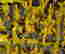 item-66555406=3