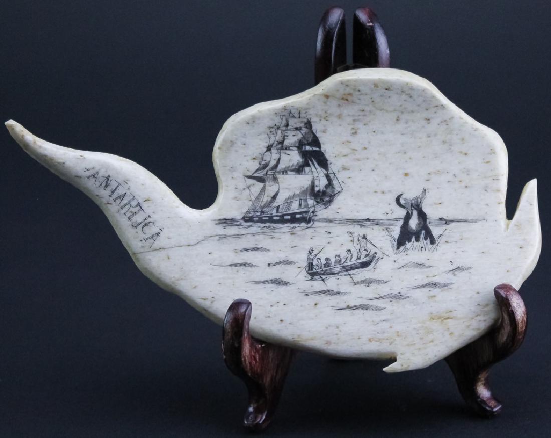 Whale Bone Scrimshaw Carved Like Antarctica: Vintage carved scrimshaw whales bone carving in the form of Antarctica. Features the image of a whale being hunted by sailors in a row boat with the mother ship in the background. Measures 7" x 4". Go