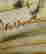 item-69924247=7