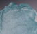 Daum French Pate de Verre Art Glass Heron Statue - 2