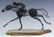 Al Barr 20th Cen American Race Horse Wire Art Sculpture