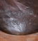 Tara Brice Expectation L/E Bronze Horse Bust Sculpture - 5
