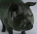 Chinese Character Marked Bronze Pig Sculpture FINE - 3