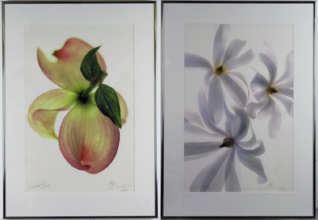 Mystery Art LOT Lithograph & Photo DAMONE ESTATE (1 of 7)