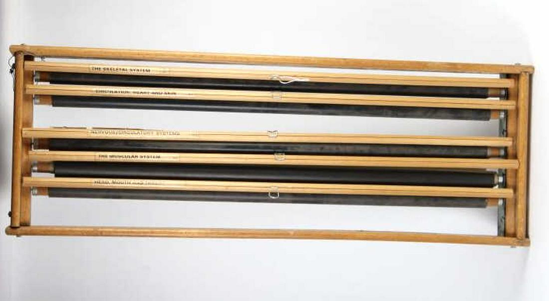 VTG Nystrom 5 Anatomical Medical Doctors Chart Set (1 of 6)