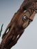 Papua New Guinea Kanganaman 38" Wood Walking Staff - 4