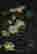 item-75229753=3