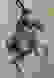 item-76494568=4