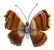 19th C French Gold Opal Agate Butterfly Brooch Pin
