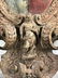 Antique 19th C Spanish Colonial Wood Coat Of Arms Crest - 6