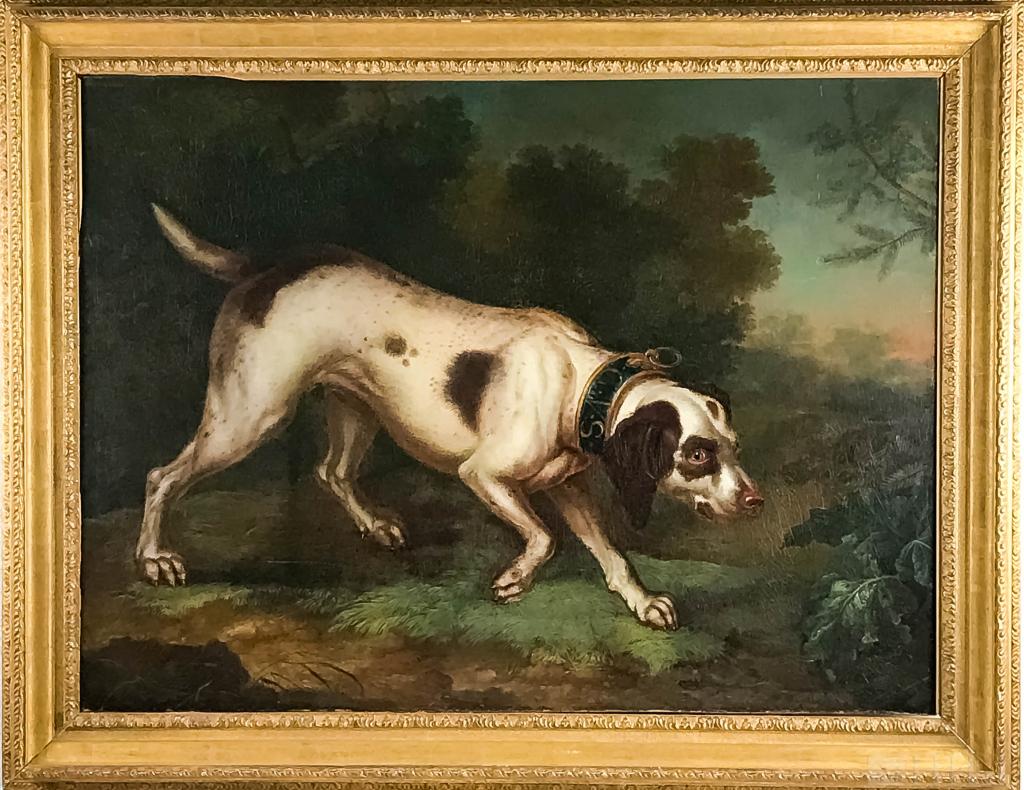 Antique 19thC English Hunting Dog Portrait Oil Painting: Portrait of a Hunting Dog (Great Britain, 19th Century) Hound with Collar Reading GVS Oil on Canvas Canvas: 32 3/4 in. x 44 in.; Frame: 41 in. x 52 in. Condition: Good condition. For inquiries, condit