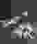 item-77649206=3