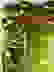 item-78724576=4