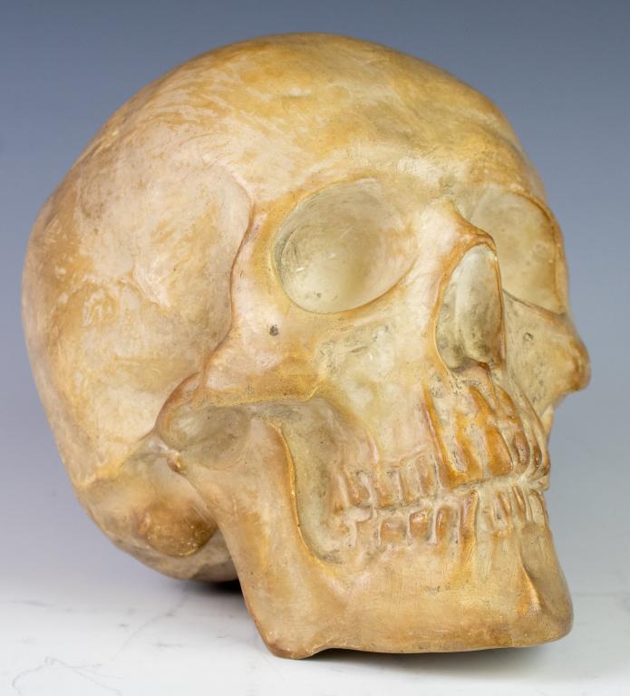 Antique Ceramic Plaster Doctors Model Human Skull: Antique realistic plaster skull. Depicts a human skull with high level of detail. Measures 7 1/2" x 6" x 6". No apparent markings. Good overall condition with minor wear. Hill Auction Gallery in house