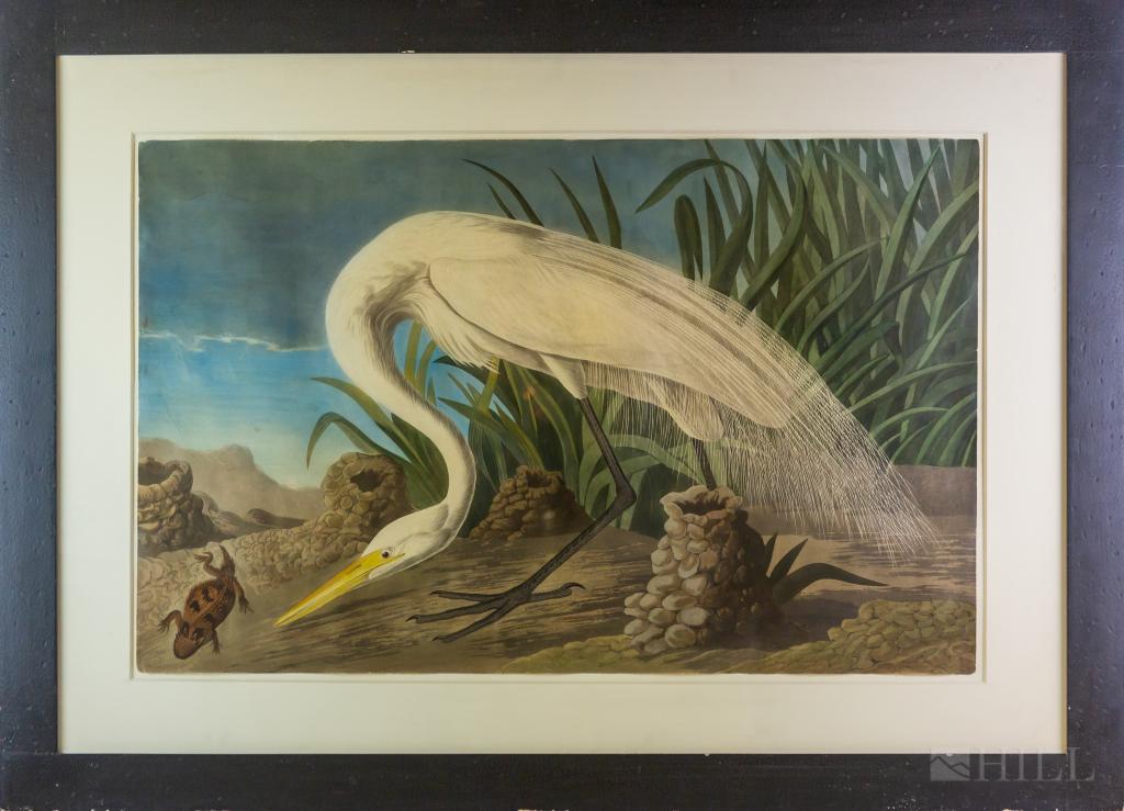 After John James Audubon White Heron Etching Print: Engraving with etching, aquatint and hand coloring after John James Audubon (1785-1821 New York / France) "White Heron Ardea Alba" depicts the American bird inspecting a horned toad. Closely trimmed t
