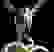 item-81351110=3