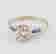 item-81351254=2