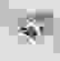 item-81351476=2
