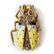 Victorian Diamond Pearl & Enamel Scarab Bug Brooch