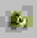 item-81351611=4
