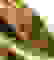 item-81351615=4