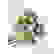 item-81351645=3