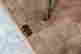 item-82133986=3