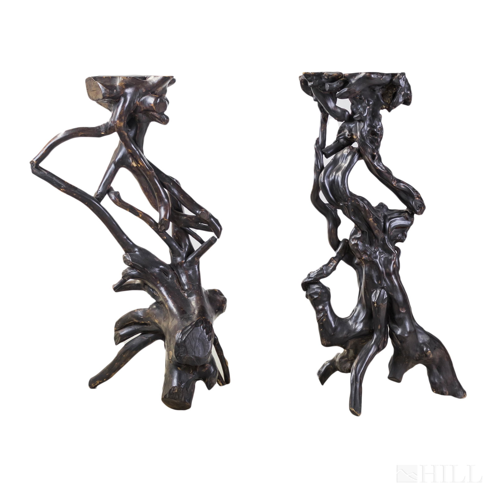 Pr Antique Chinese Organic Root Wood Plant Stands: Pair of antique Chinese root plant stands. Features natural abstract forms with dark colored surfaces. Each stand measures 42 in. x 20 in. Good overall condition with minor wear. Hill Auction Gallery 