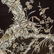 Chinese Lacquer Mother Pearl Chinoiserie 4 Panels - 4