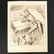 Hugh Hutton Political Drawing Cartoon Uncle Sam - 3
