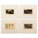 16 Pc Victor Hugo L/E Engraving Bookplate Prints - 4