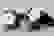 item-89355935=6
