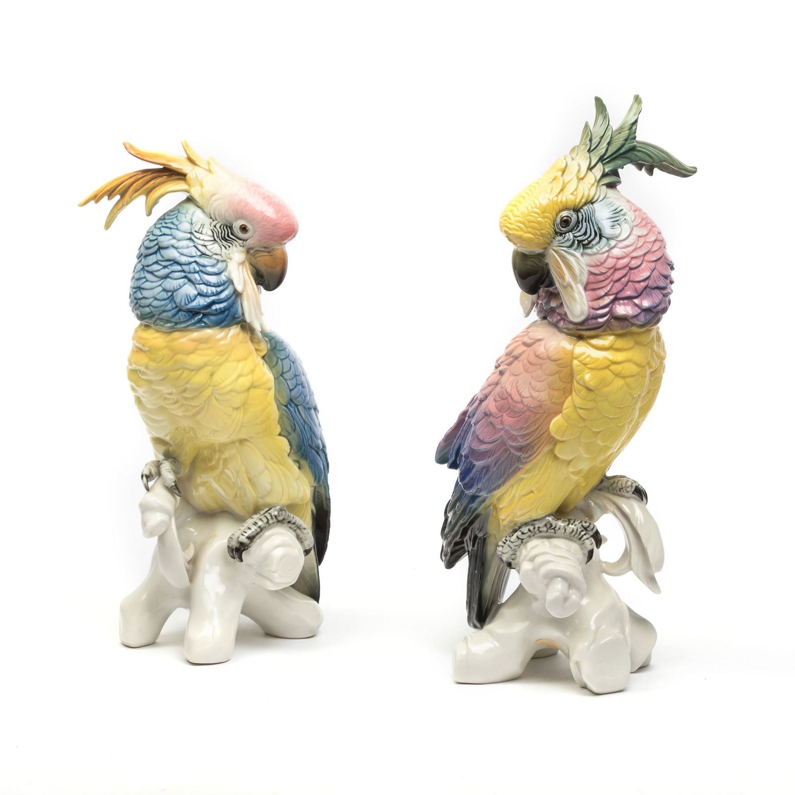 Karl Ens Volkstedt Porcelain Bird Parrot Cockatoos (1 of 8)