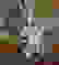 item-89356128=2