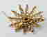 item-89356309=3