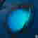 item-95425024=3