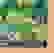 item-95425448=2