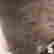 item-95425501=8